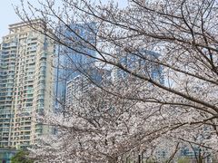-西北湖绿化广场