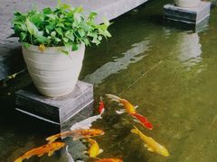 -天津海河悦榕庄·Lobby Lounge大堂吧