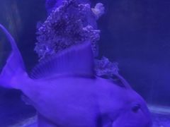 -北海·海洋之窗