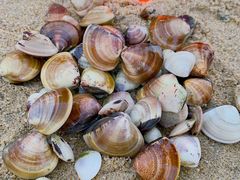 -深圳海边小筑客栈