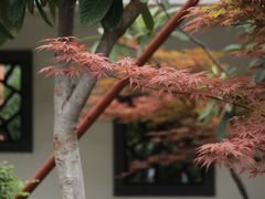 -锡师附小学(学前街校区)