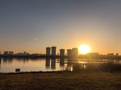 -九龙湖公园