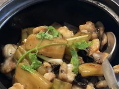 凉瓜豉味河鳗煲-宝丽轩中餐厅BAOLIXUAN