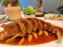 金甲深海大黄鱼-晟永興烤鸭店(五道口店)
