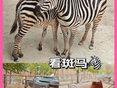 -广州融创文旅城