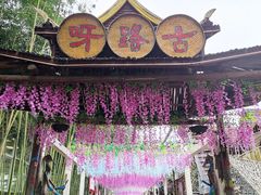 -呀路古热带植物园