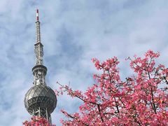 -文华公园(禅城区)