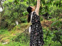 -樱桃山旅游景区