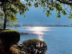 -洱海月湿地公园