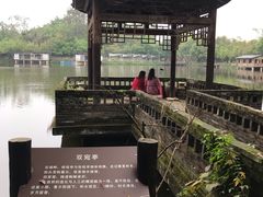 -老木棉·匠园
