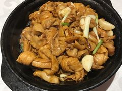 -金蝉食府(维吉奥广场店)