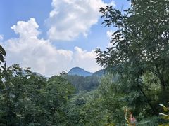 -井塘古村
