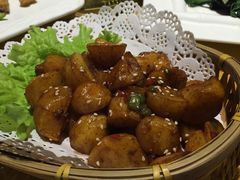 -素虎小呆鸟(西二旗店)