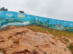 -西霞口神雕山野生动物世界