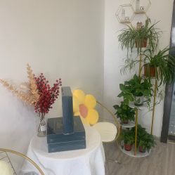 -凡碧诗毛孔收细