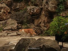 -颐和园