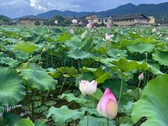 -云水谣景区