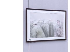 -四川美术馆