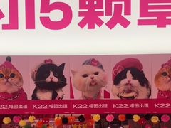 -K22.酸奶草莓(烟台芝罘店)