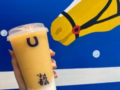 -春丽小马(济南恒隆广场店)