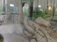 -成都动物园