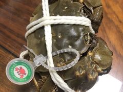 -蟹宝酒楼•农家菜(古城北路店)