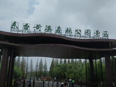 -黄海国家森林公园