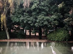 -东京国立博物馆
