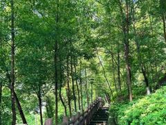 -重庆平顶山公园