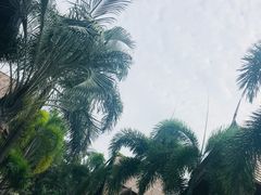 -三亚亚龙湾雅高铂尔曼别墅度假酒店