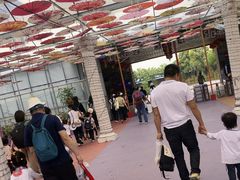 -广东花都香草世界旅游度假区