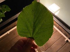 -北京山里寒舍度假酒店
