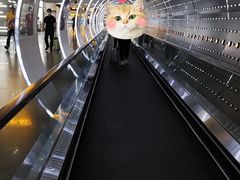 -广州白云国际机场-T2航站楼