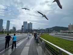 -星海广场