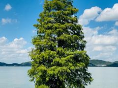 -东钱湖旅游度假区