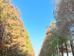 -上海老范农家乐(崇明前卫村店)