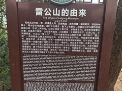 -大屏嶂森林公园
