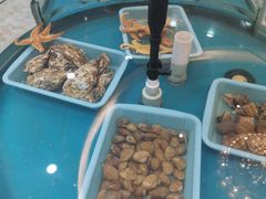 -福泉海码头(六里山店)