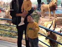 -陕西自然博物馆