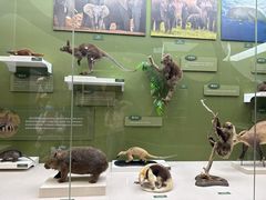 -国家自然博物馆