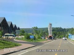 -汤旺河林海奇石景区