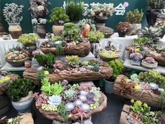 -重庆市江北嘴中央商务区中央公园