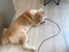 -YCHL Studios健身工作室(市二宫店)