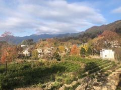 -塔川景区
