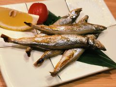 -初花·日本料理