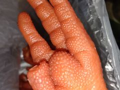 五香凤爪-紫燕百味鸡(广西店)