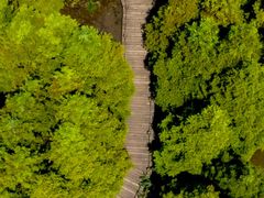 -桤木河湿地公园