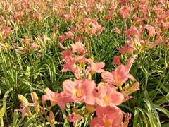 -汉长安城未央宫国家考古遗址公园