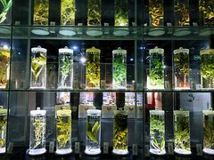 -广东中医药博物馆