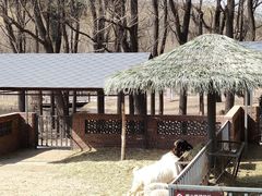 -沈阳森林动物园